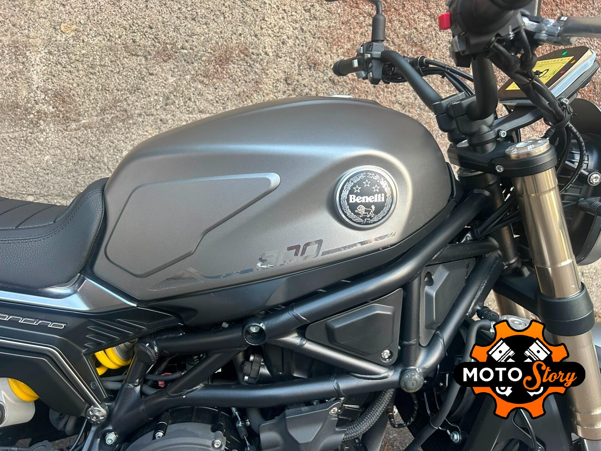 Benelli Leoncino 800